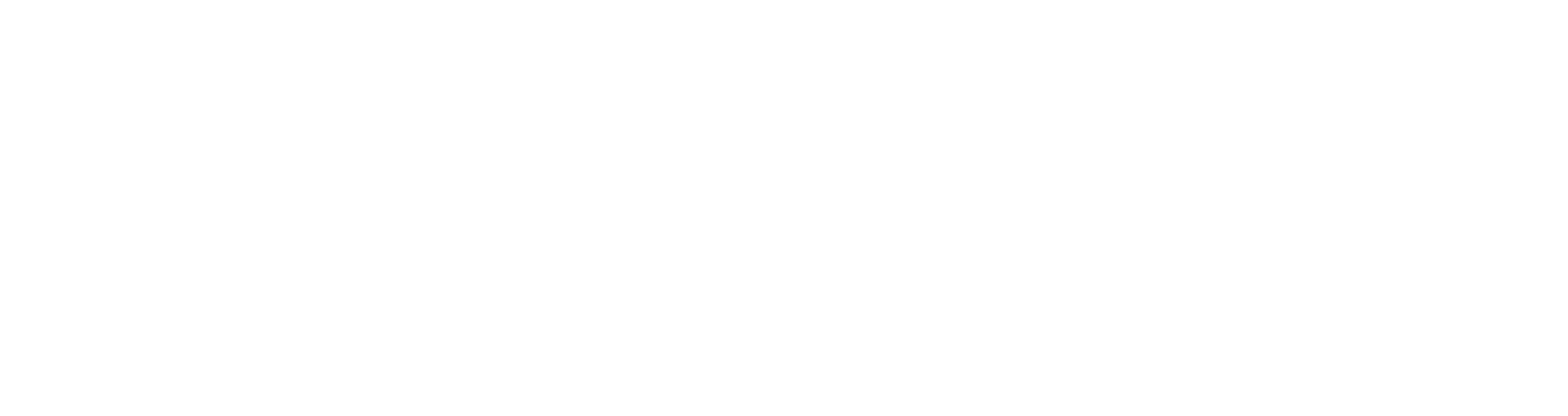 RIAS USA LLC